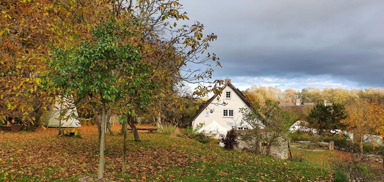 Apartment Vera, Naehe Binz In Traumhafter Alleinlage, 4-8 P. Zirkow Luaran gambar
